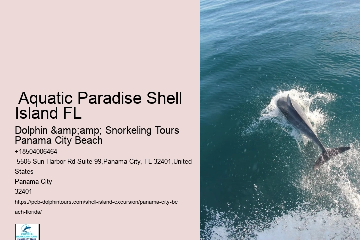  Florida Shell Guidet