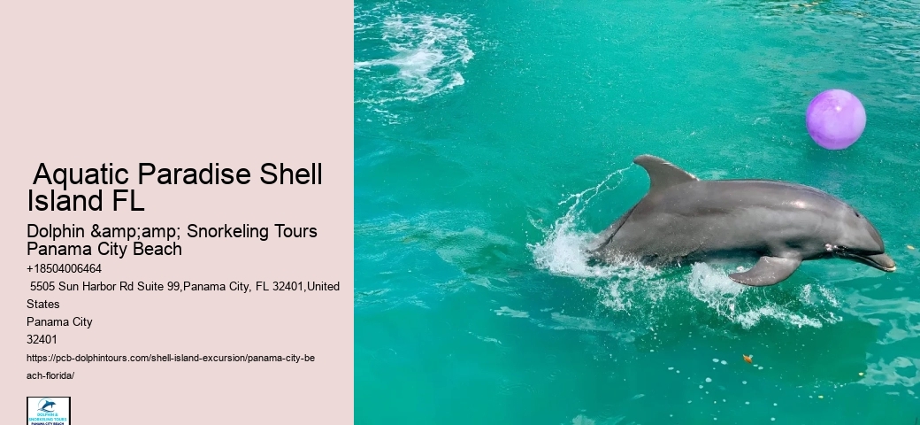  What Is Shell Island Panama City Beach