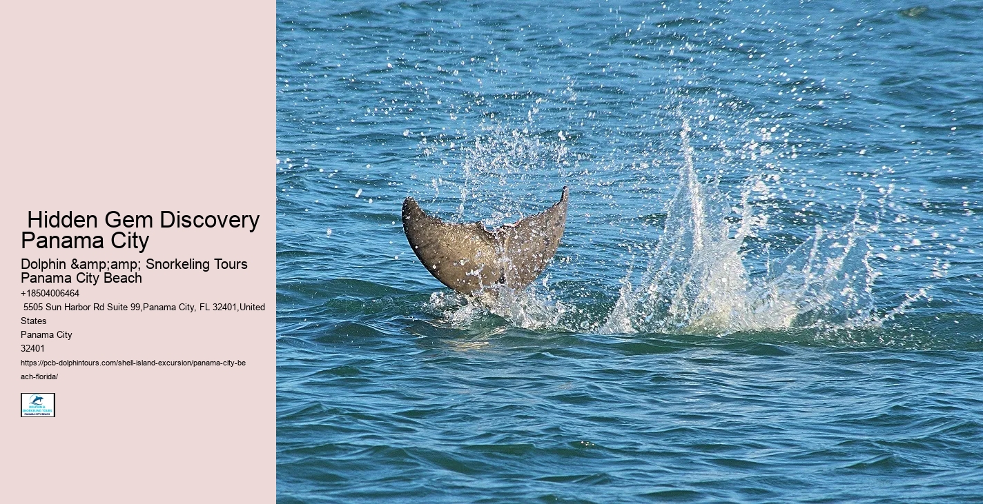  Panama City Shallow Waters Excursions