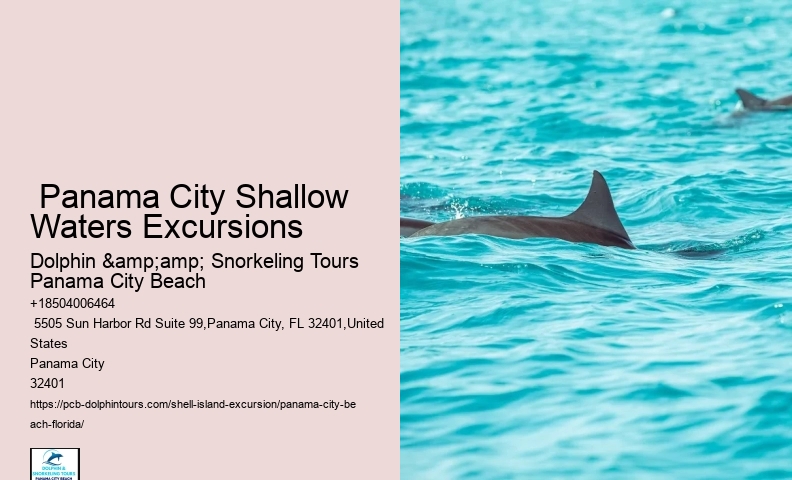  Panama City Shelling Adventures
