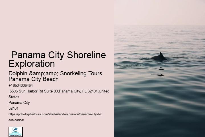  Shell Island Paddleboarding FL