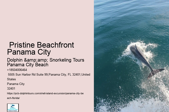  Where Are The Best Shells In Panama City Beach