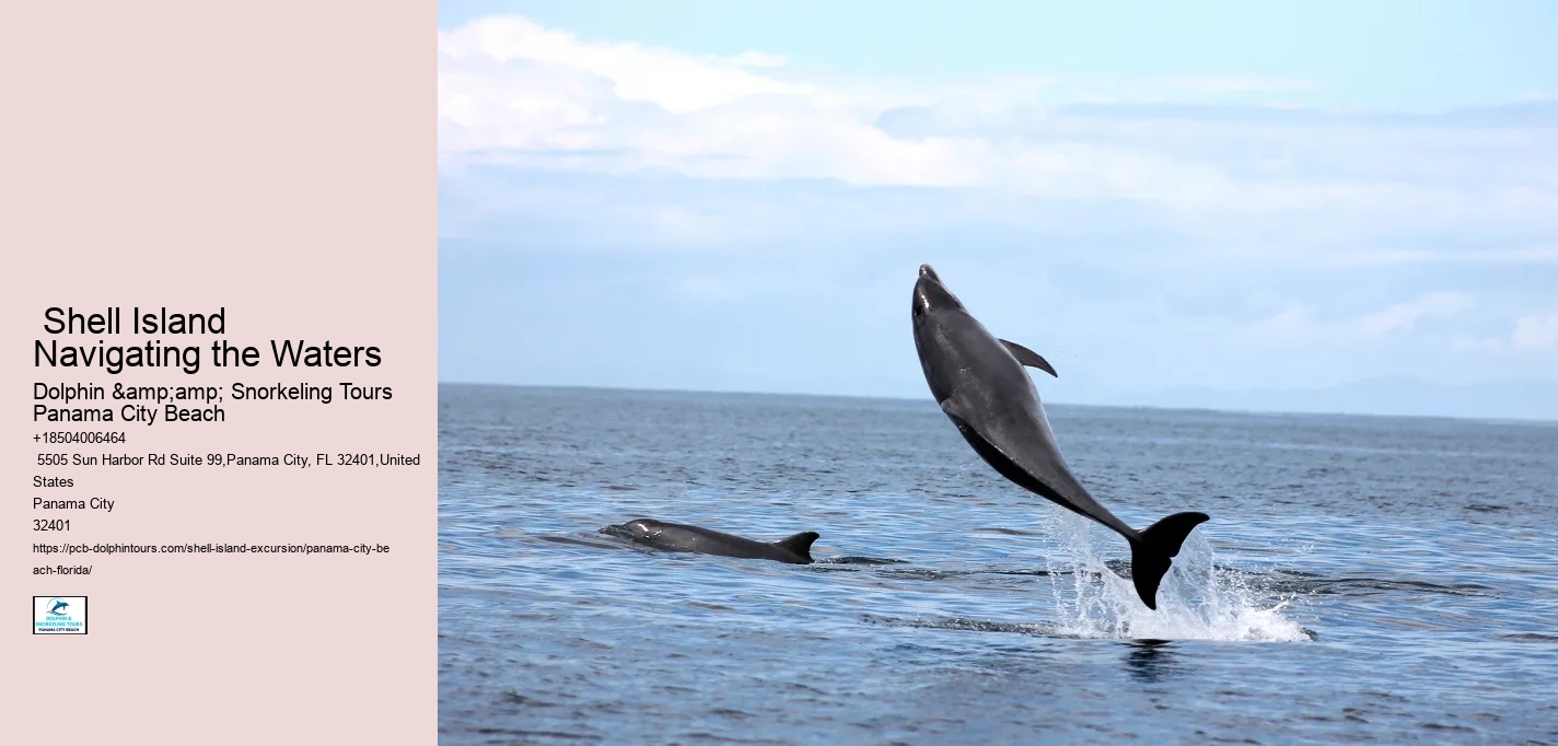  Panama City Seashore Wonder Tours