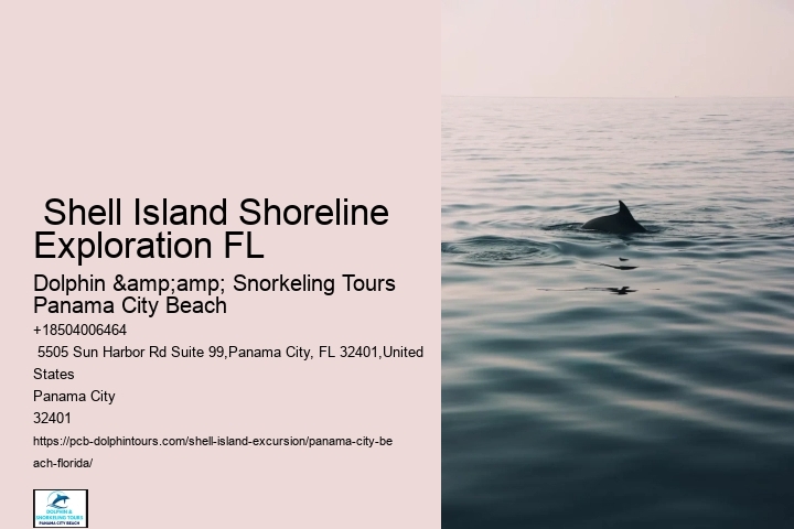  Seashell Collection Tours Panama City