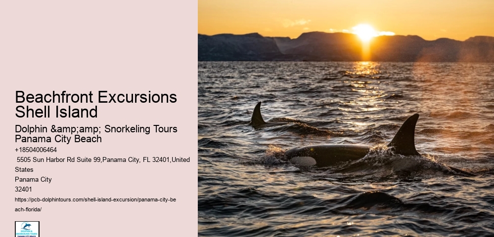Beachfront Excursions Shell Island