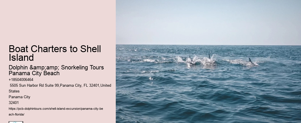 Boat Charters to Shell Island