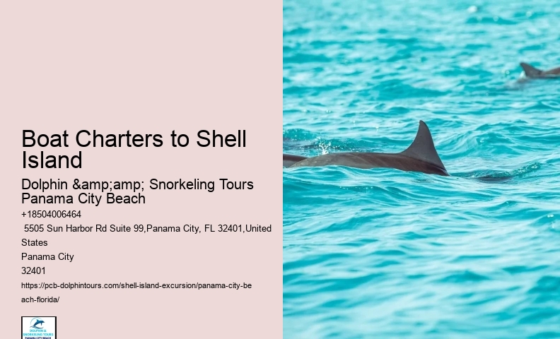  Shell Island Panoramic Coastal Adventures