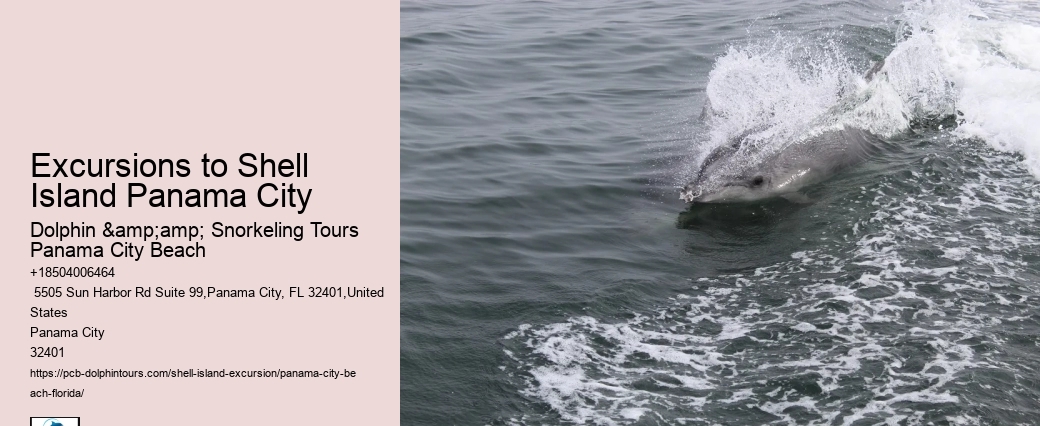  Shell Island Hidden Oasis Tours