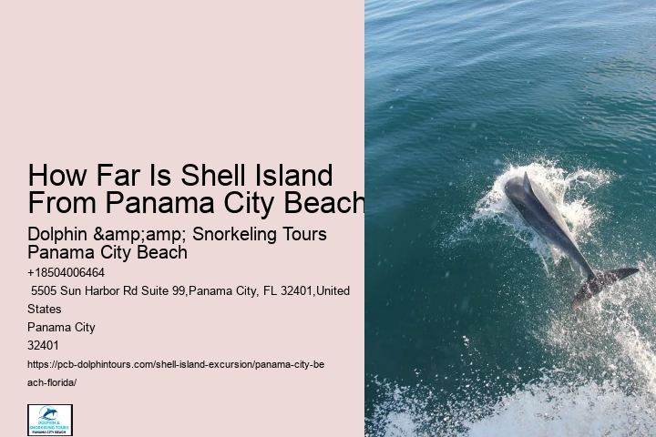  What To Bring To Shell Island In Panama City Beach Florida