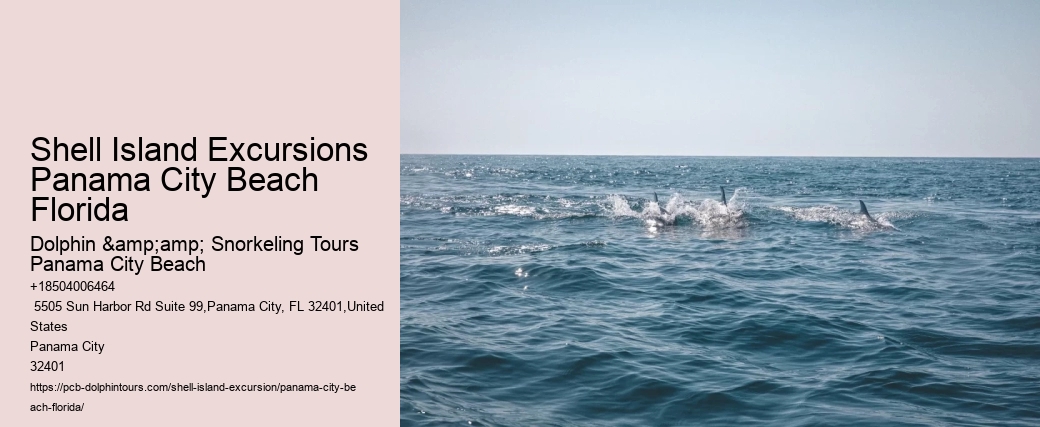  Panama City Marine Life Excursions
