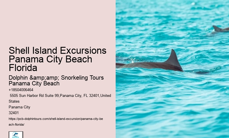  Shell Island Tours In Panama City Beach - Adventures At Sea