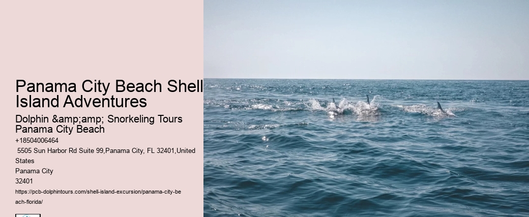  Shell Island Ferry