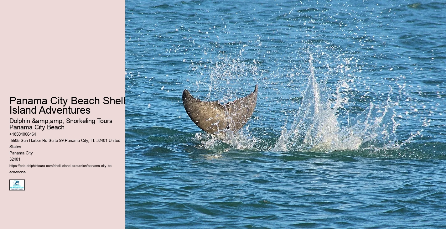 Shell Island Wildlife Tours FL