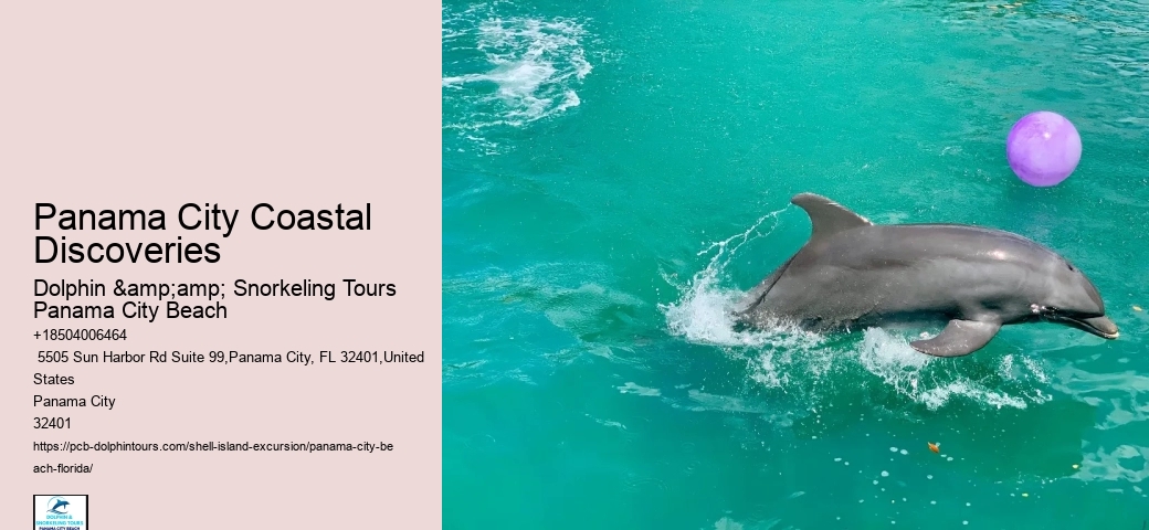  Boat Charters to Shell Island