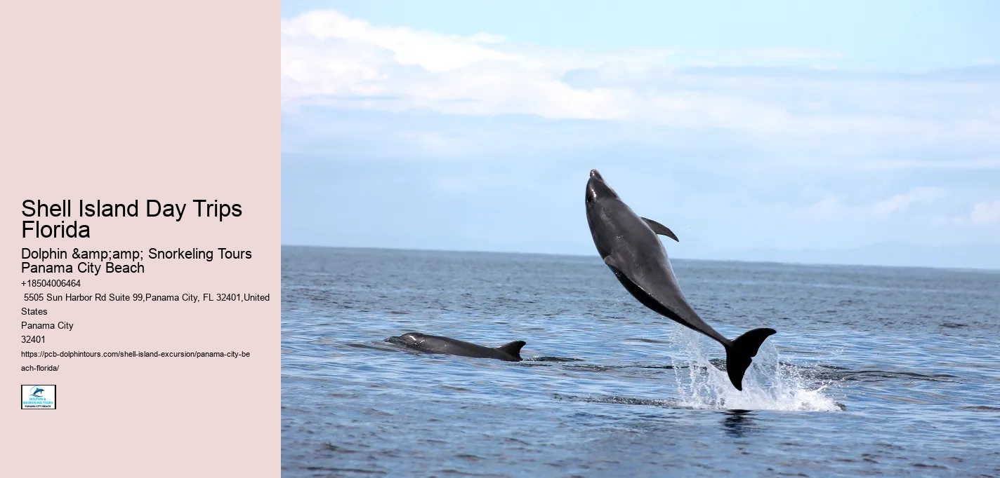  Panama City Coastal Oasis Adventures