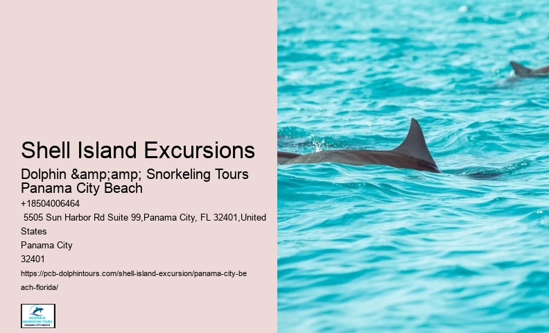  Shell Island Eco Tours Florida