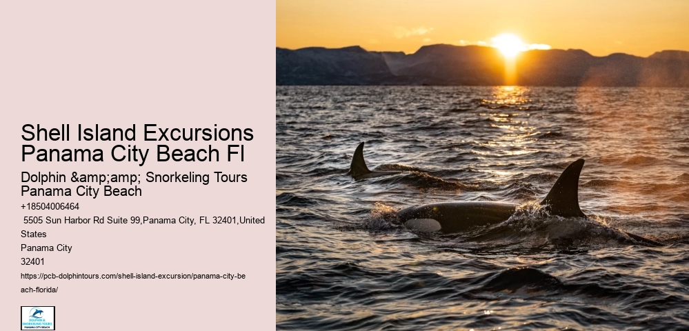  Panama City Coastal Paradise Excursions
