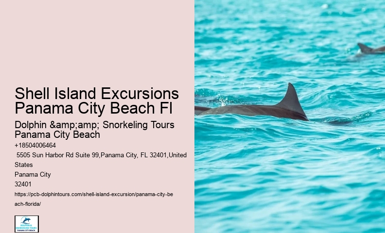  Dolphin Watching