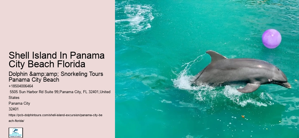  Dolphin Tour