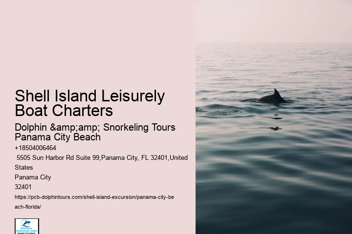  Shell Island Aquatic Bliss Tours FL