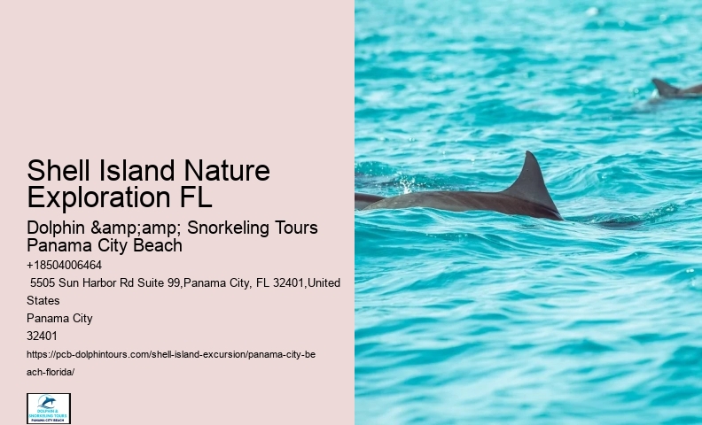 Shell Island Scenic Coastal Excursions