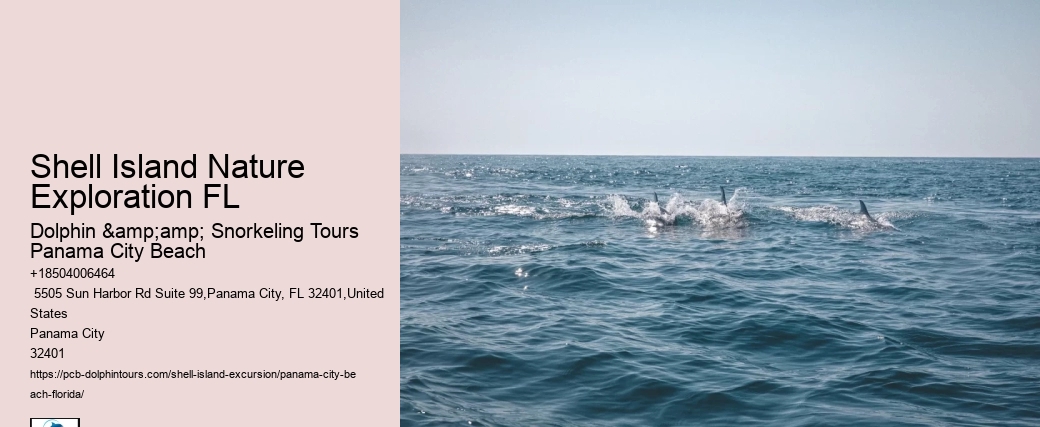 Shell Island - All You Need To Know Before
