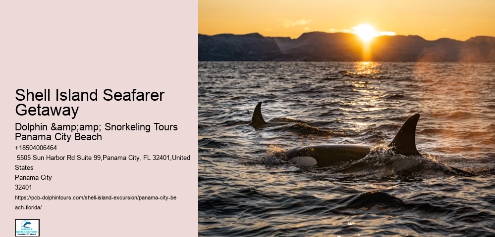  Shell Island Aquatic Serenity Tours