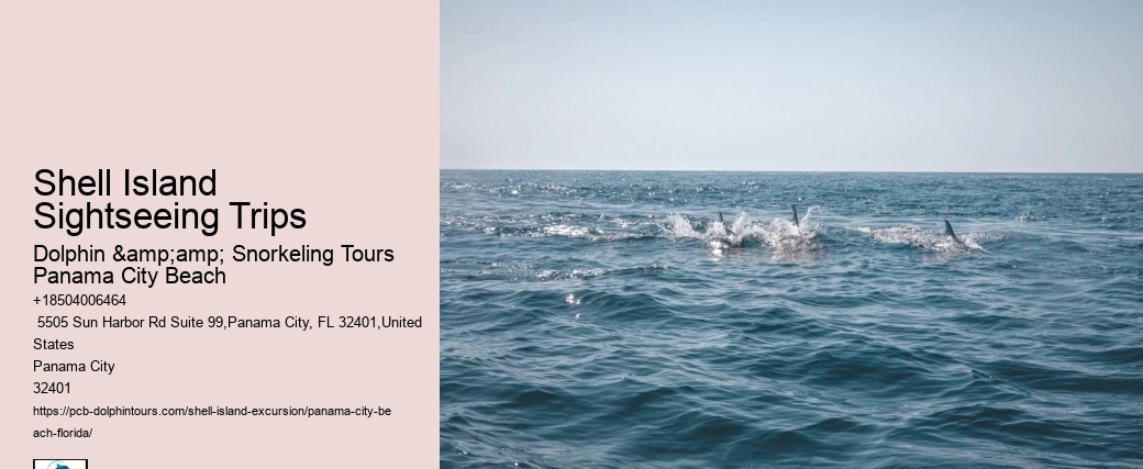 Shell Island Sightseeing Trips