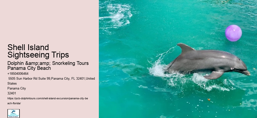  Breathtaking Beachfront Excursions