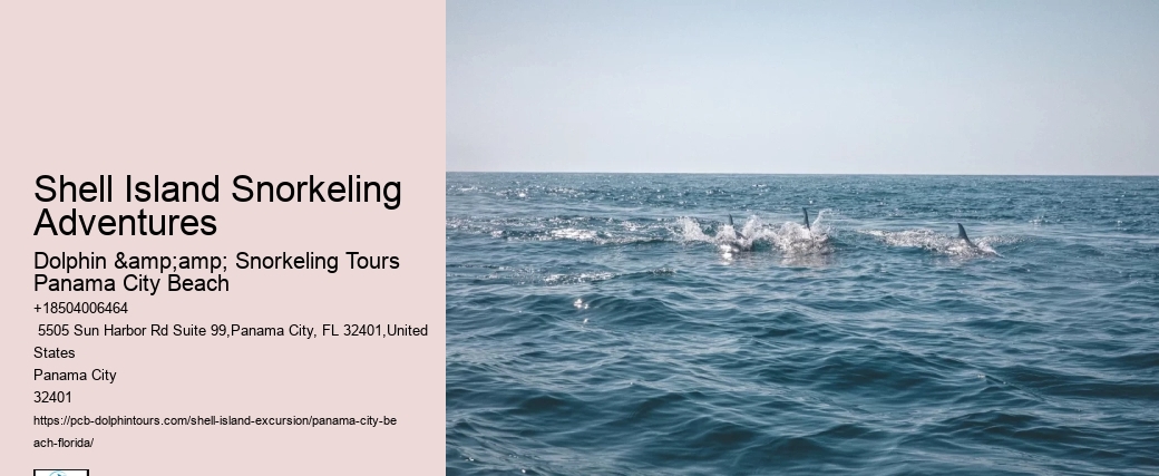 Shell Island Snorkeling Adventures