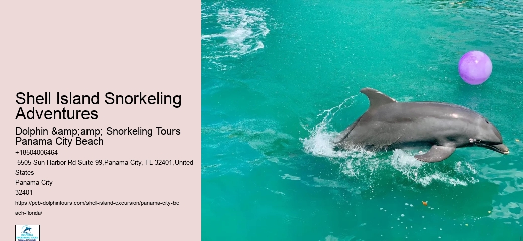  8 Fun Things To Do At Shell Island