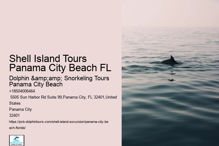  Shell Island Boat Trips Florida
