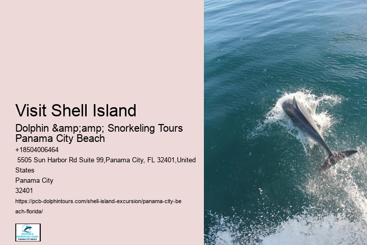  Shell Island Excursion