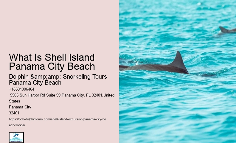  Shell Island Sailing Adventures