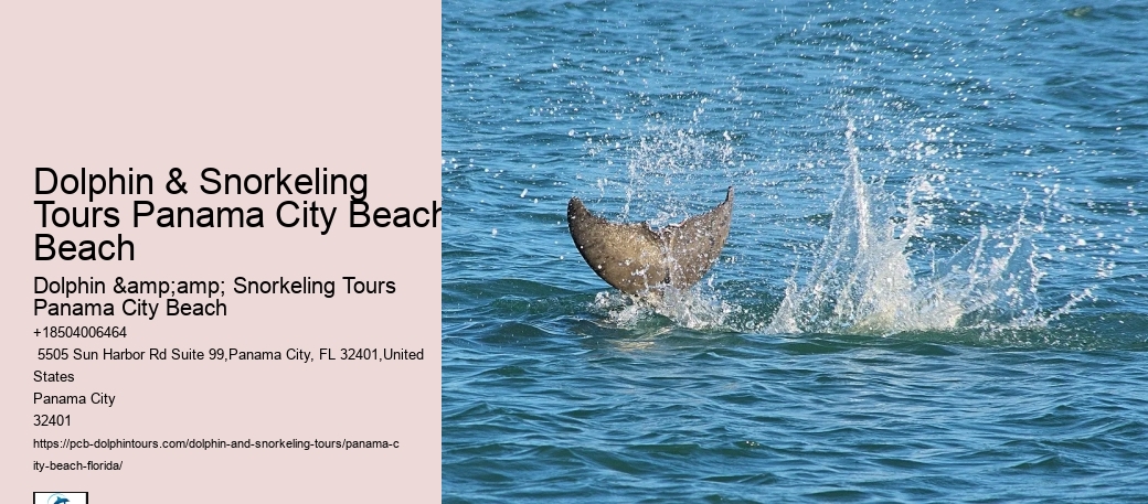 Snorkeling Trips Around Panama City Beach