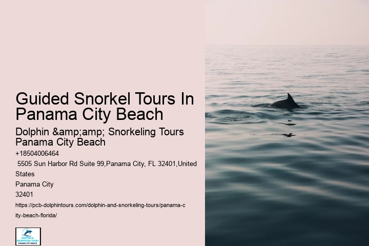 Panama City Beach Snorkeling Tours Jacksonville Fl