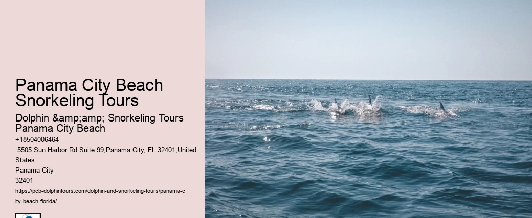 Panama City Beach Snorkeling Tours Ambergris Caye