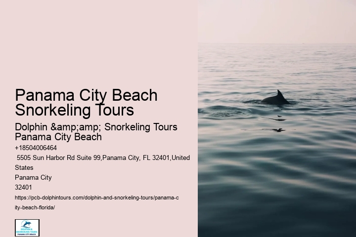 Panama City Beach Snorkeling Tours 302