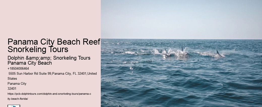 Panama City Beach Snorkeling Tours K Bay