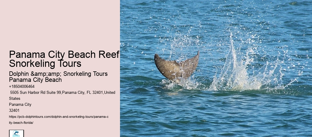 Panama City Beach Snorkeling Tours East Coast