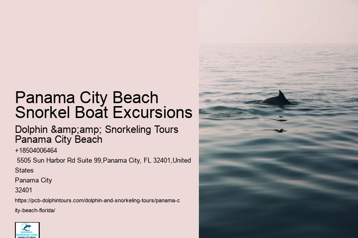 Best Snorkeling In Panama City Beach Beach