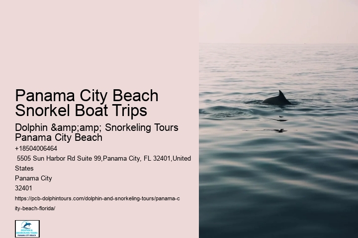 Panama City Beach Dolphin And Snorkel Tours