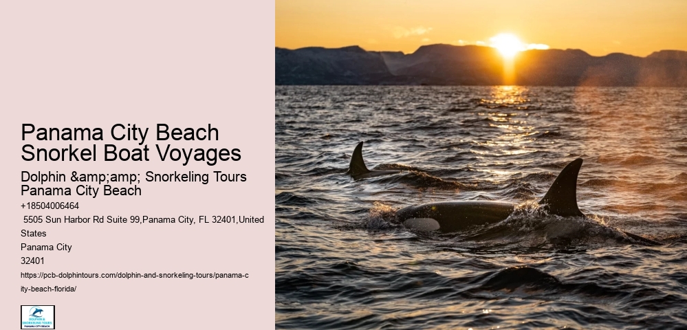 Panama City Beach Snorkeling Tour One Day