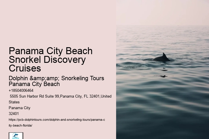 Snorkeling And Diving In Panama City Beach
