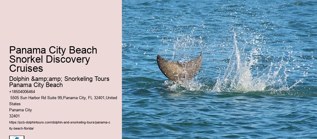 Are There Any Night Snorkeling Tours Available In Panama City Beach