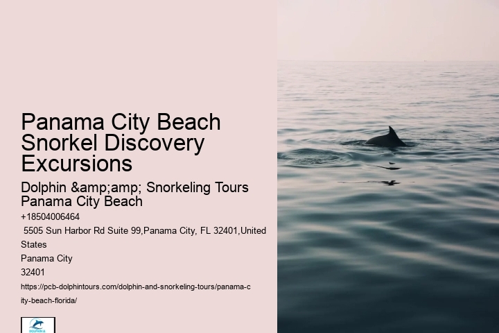 Snorkeling Escapades Departing From Panama City Beach