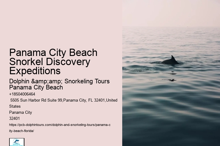 Panama City Beach Snorkeling Tours Jr
