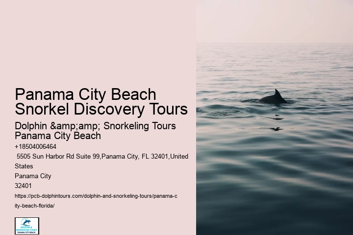 Blue Dolphin Tours
