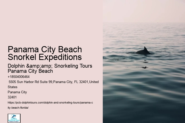 Panama City Beach Snorkeling Tours