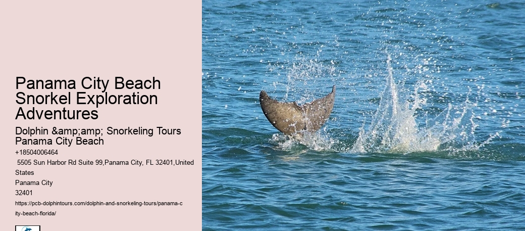 Panama City Beach Snorkeling Tours West Palm Beach